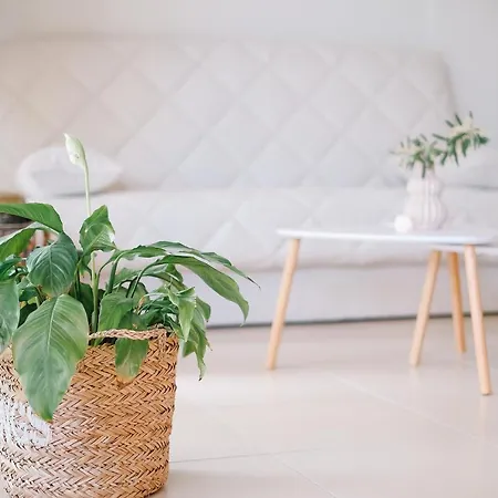 Apartmán Oasis Garden House Nea Iraklitsa Exteriér fotografie